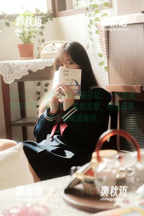 Sira(시라)和她的职业装日记：一个普通的穿搭里，却藏着丰富的资源，慢慢品味，才发现味道独特。