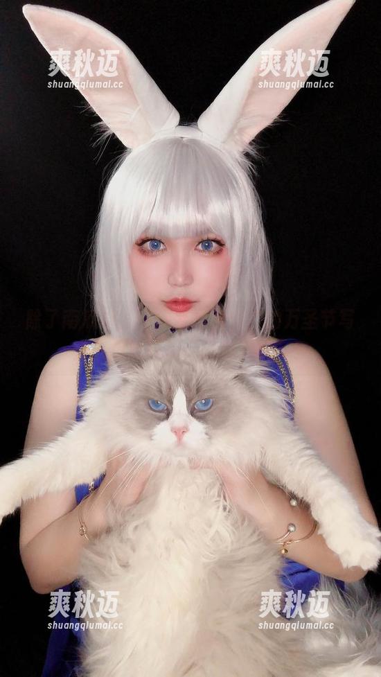 除了南瓜灯，还需要椒妮佐仁的万圣节写真来点燃我的“恐怖夜晚”？