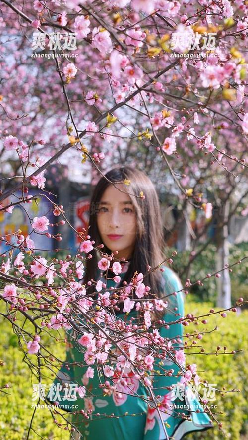 微密圈 - 看辣妈女神的资源：一头奶牛的逆袭之路