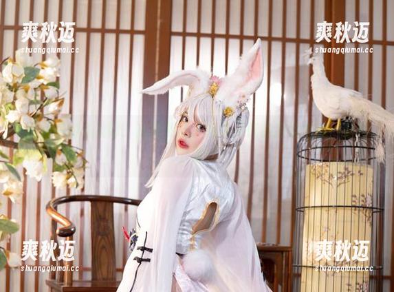 阿寨寨的兔女郎：高清到让人想拿来代替高清电视，记得下载！